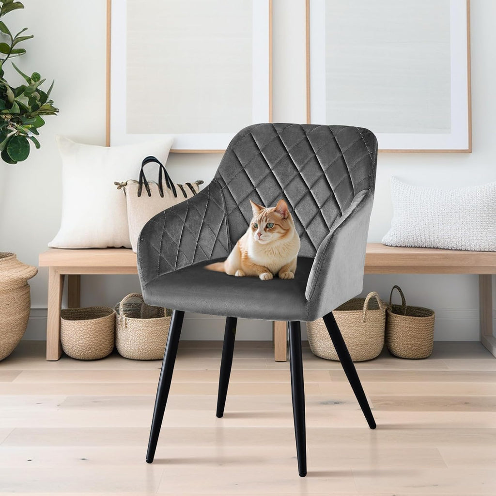 CLIPOP Esszimmerstühle 2er Set, Küchenstühle Grau Samtstoff stühle Polsterstühle mit Armlehne Metallbeine Polstersessel Stühle für Esszimmer Küche