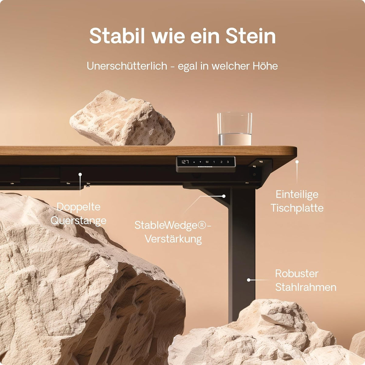 Desktronic HomePro Schreibtisch elektrisch höhenverstellbar, Steh-Sitz Schreibtisch mit Dual Motor, Touchscreen & USB-A/USB-C