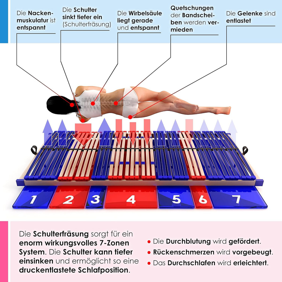 stabiler Lattenrost 100% BUCHE Lattenrahmen - Kopfteil verstellbar - SCHULTERFRÄSUNG, 7 Zonen, 42 Federleisten, Härte-Regulierung, Mittelgurt - SLEEP