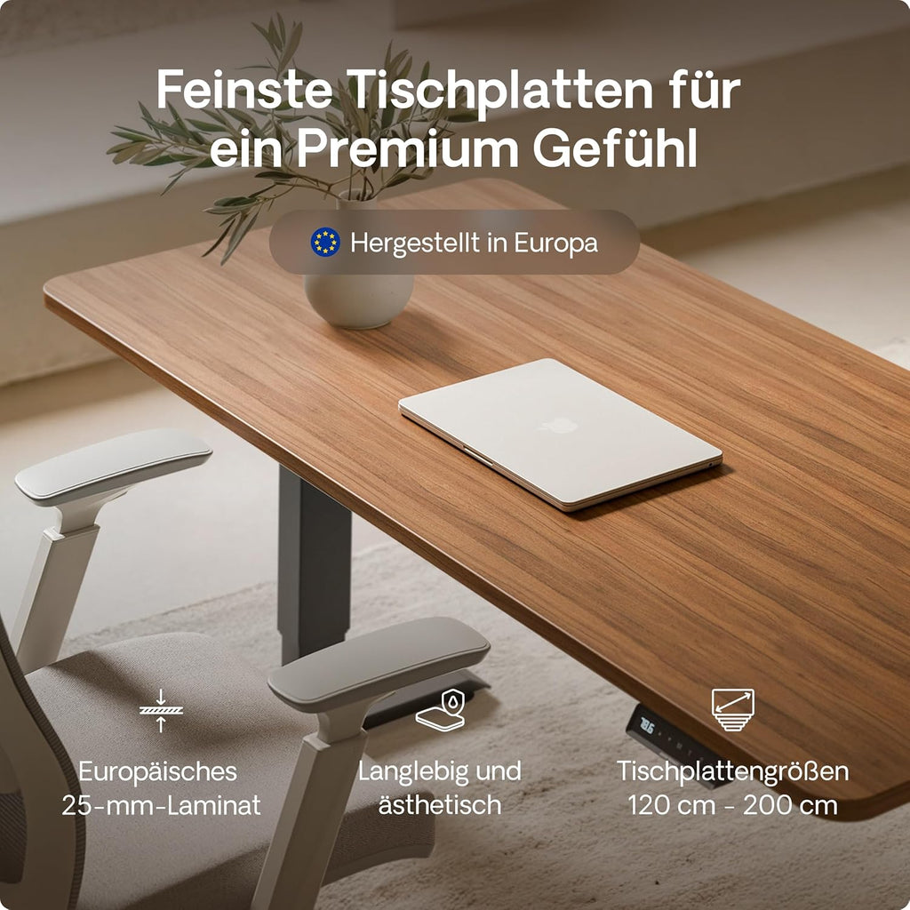 Desktronic HomePro Schreibtisch elektrisch höhenverstellbar, Steh-Sitz Schreibtisch mit Dual Motor, Touchscreen & USB-A/USB-C